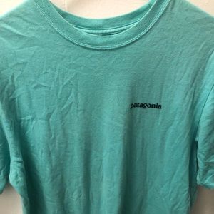 Patagonia Tee